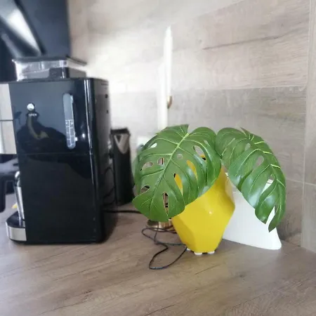 Orao Kaštel Novi
